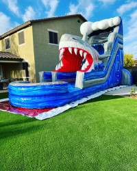 Shark Escape Water Slide