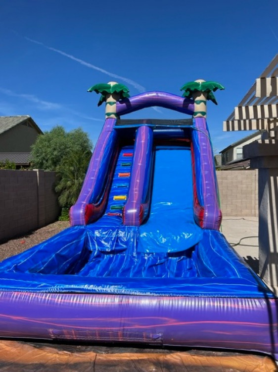 Purple Palm Tree Water Slide