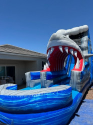 Shark2 1690688640 Shark Escape Water Slide