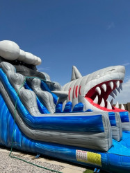 Shark3 1690688640 Shark Escape Water Slide