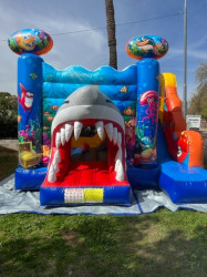 Baby Shark Bounce House